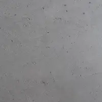 Шлифованный бетон (Ground Concrete)
