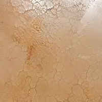 Микрокракелюр (Micro Craquelure)