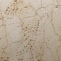 Травертиновый кракелюр (Travertine Craquelure)