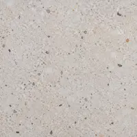 Терраццо Марморино (Marmorino Terrazzo)