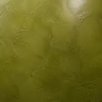 Цветной таделакт Оливковый зелёный (Vert olive)