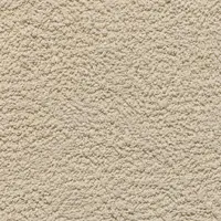 Акриловая Шуба (Acrylic Coat Plaster)